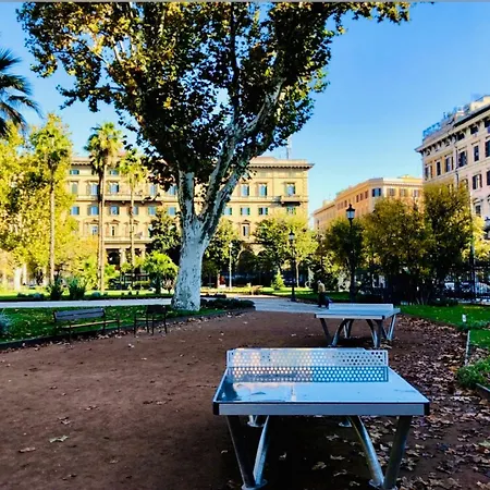 Luce A Piazza Vittorio *
